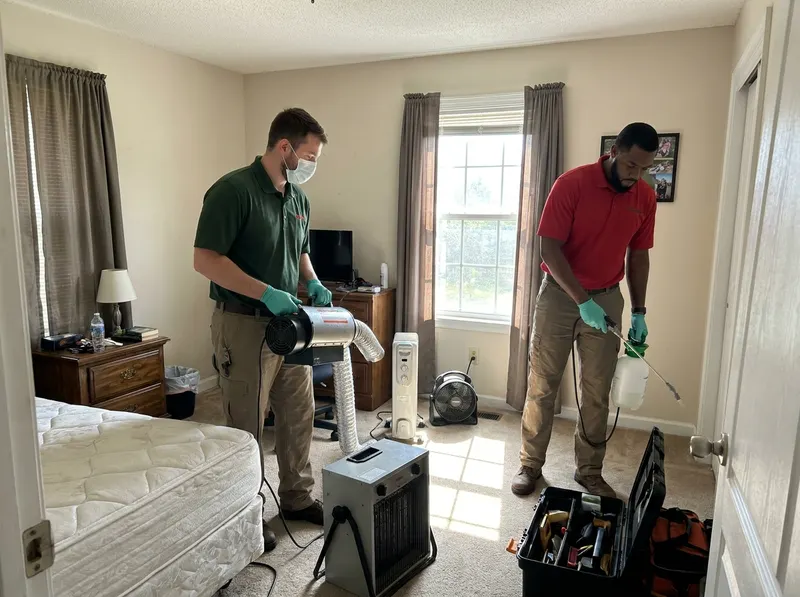Bed Bug Thermal and Chemical Remediation in Greenville, SC